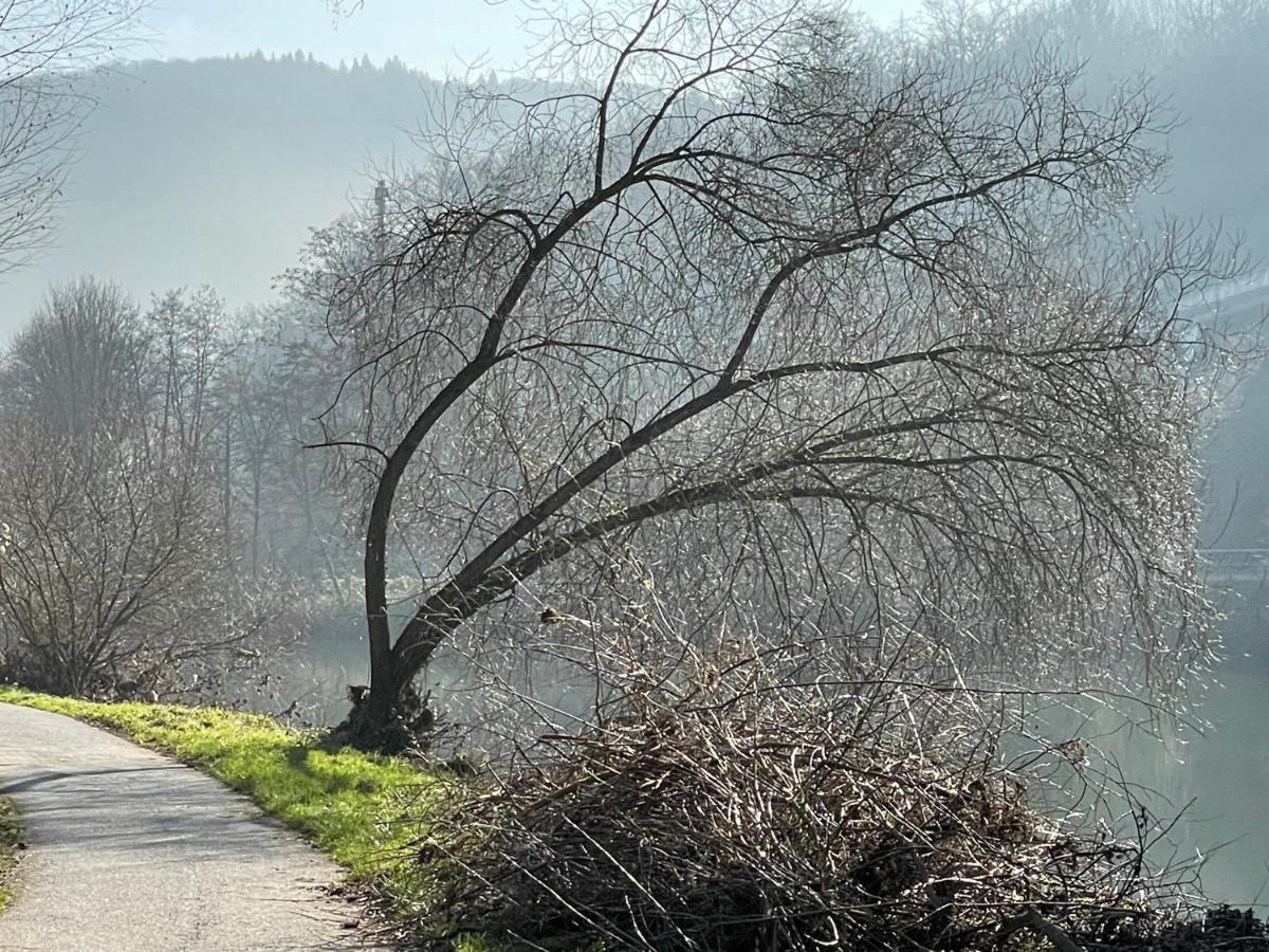 Ferienwohnung Bei Bad Ems Im Lahntal Fachbach المظهر الخارجي الصورة