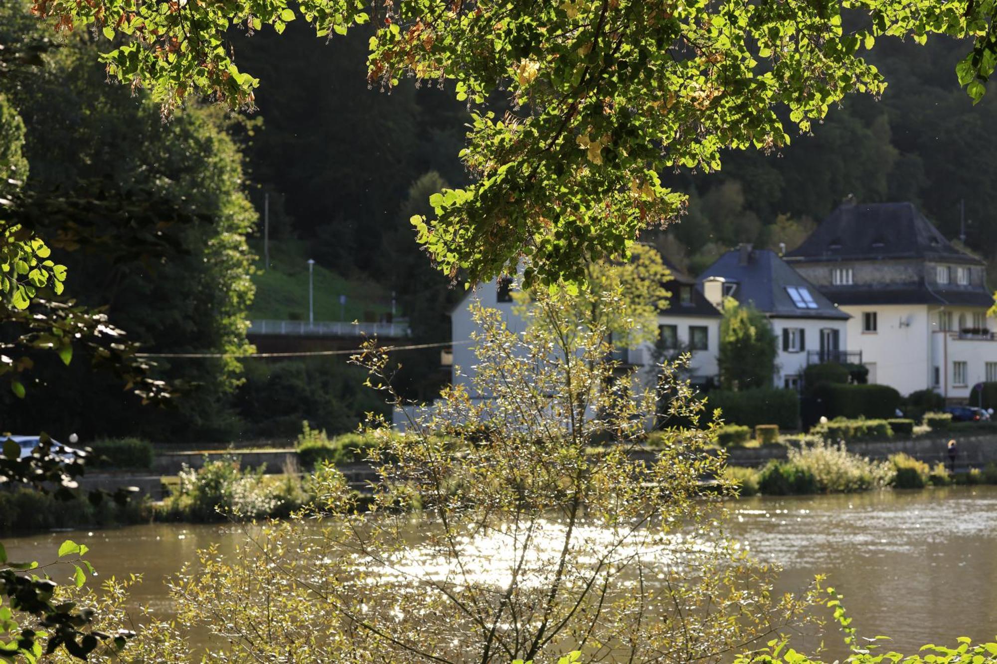 Ferienwohnung Bei Bad Ems Im Lahntal Fachbach المظهر الخارجي الصورة